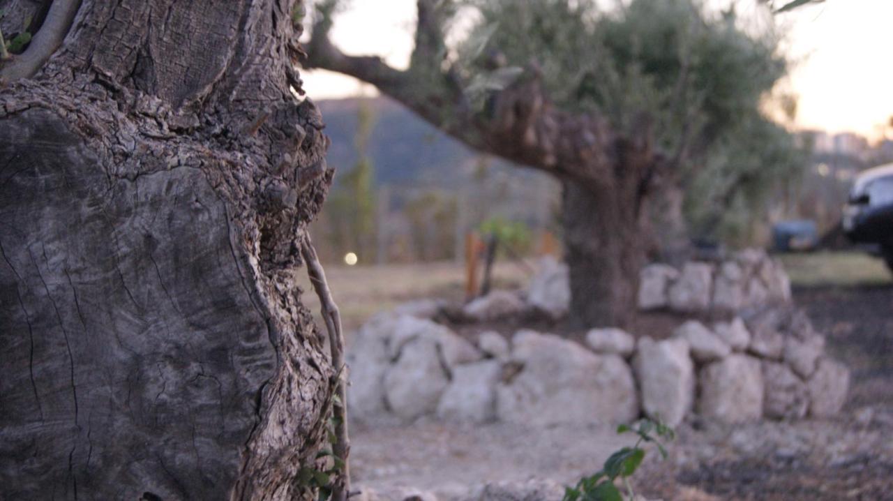 B&B Eyexei Domus Agrigento Bagian luar foto